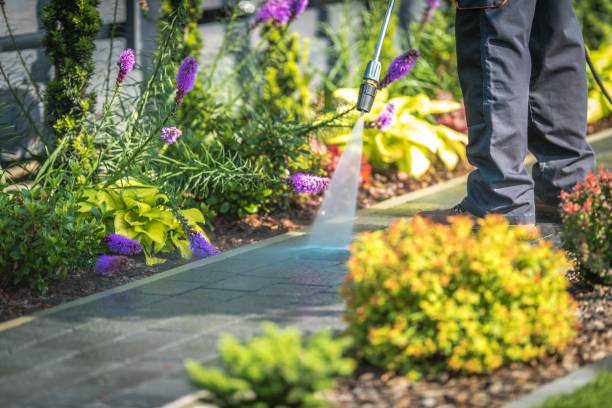 Professional Pressure Washing in Eunice, LA